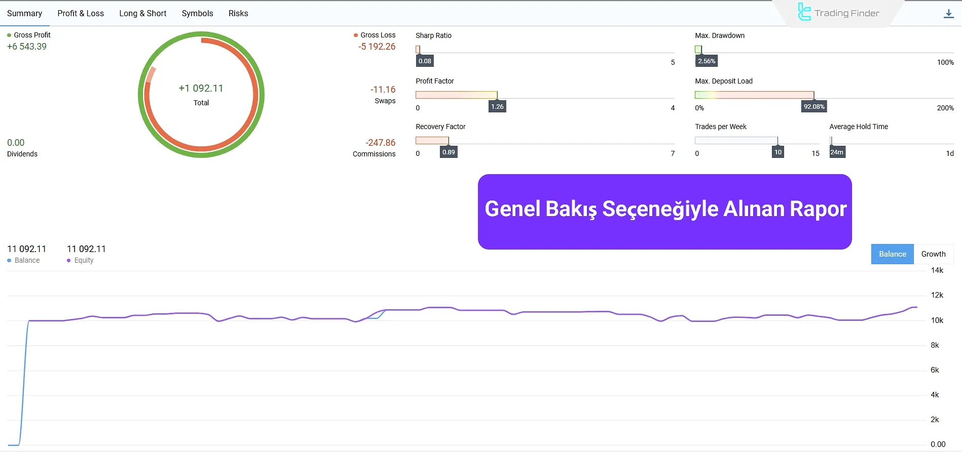 Overview Seçeneği ile Oluşturulan Rapor