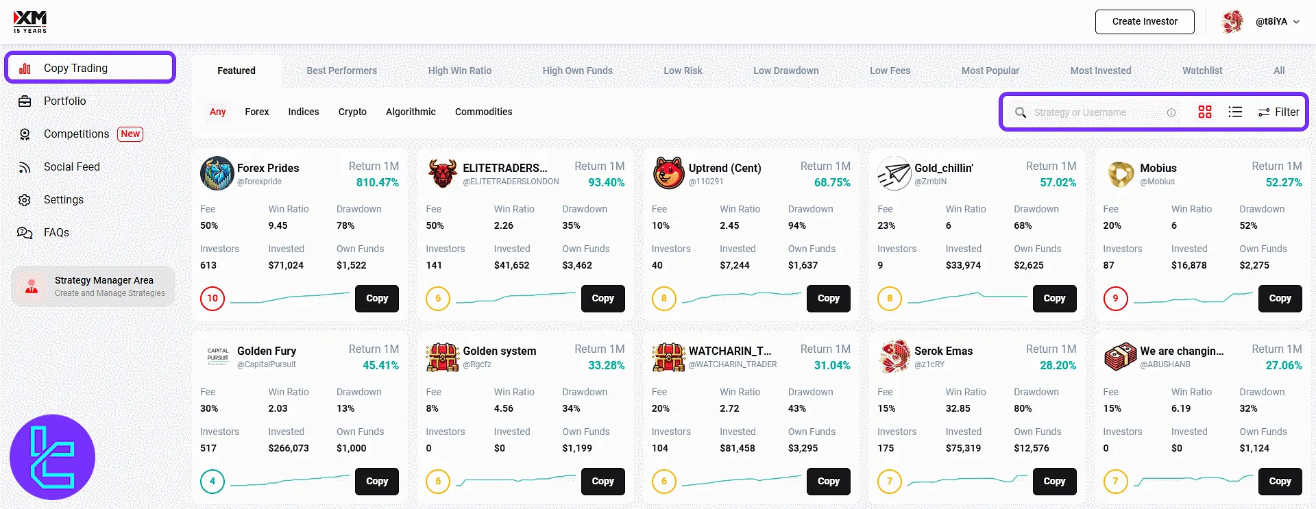 XM Group trading strategies list and filter tools interface in the social trading dashboard