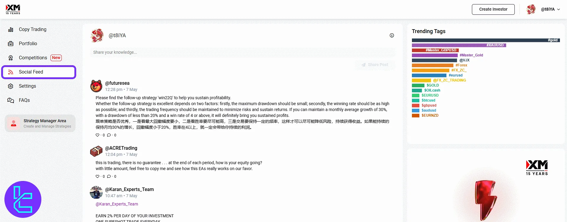 XM Group social feed with trader activity and shared strategies