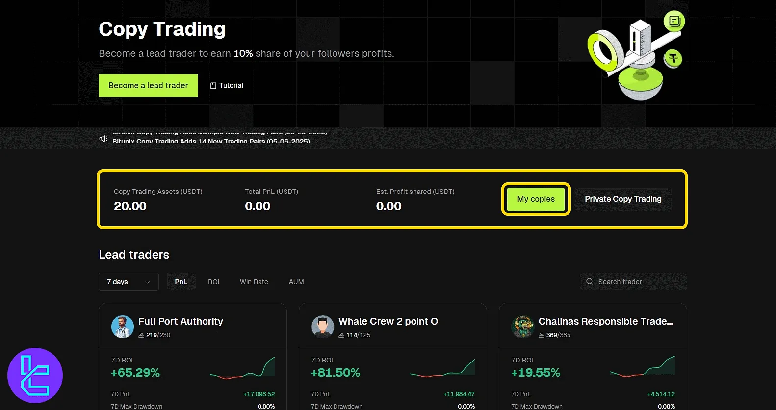 Bitunix active copy dashboard after trader connection