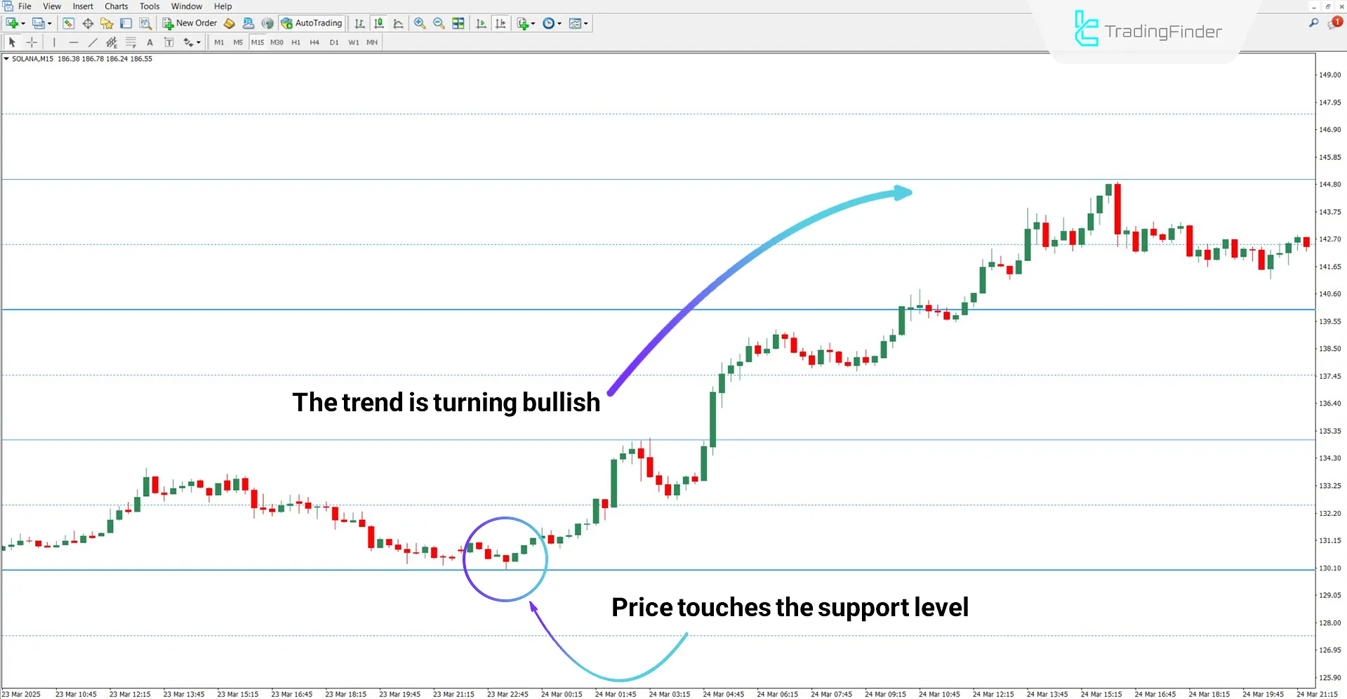 Sweet Spots Indicator for MT4 Download – Free – [TradingFinder] 1