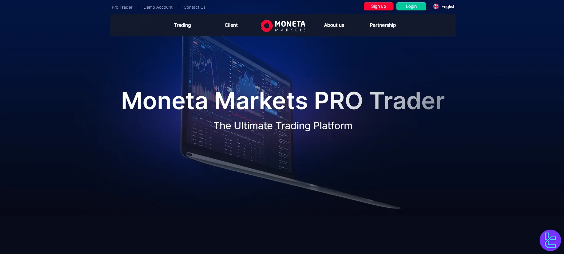 Moneta Markets PRO Trader