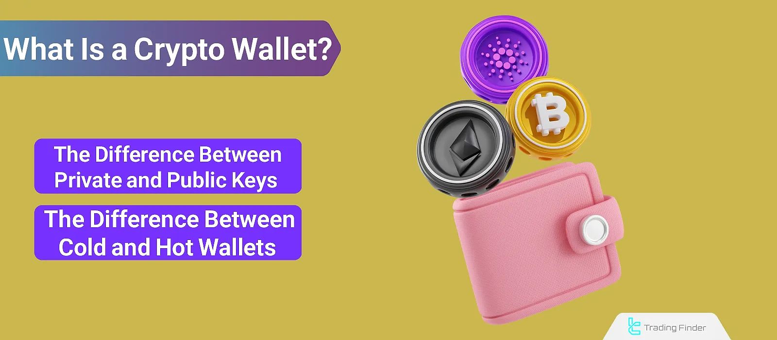 Crypto Wallet - Difference Between Public and Private Keys