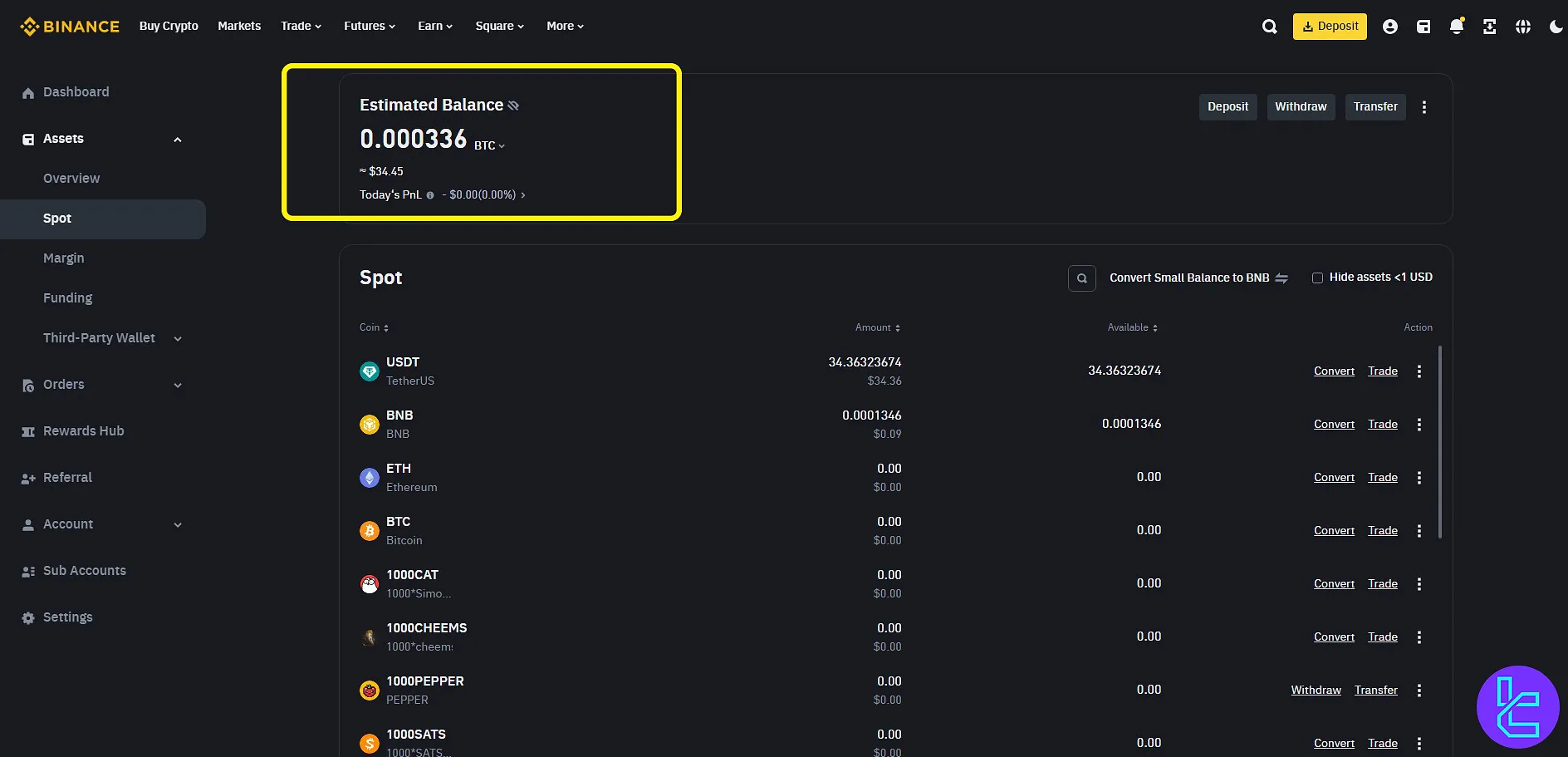 Binance Balance Panel
