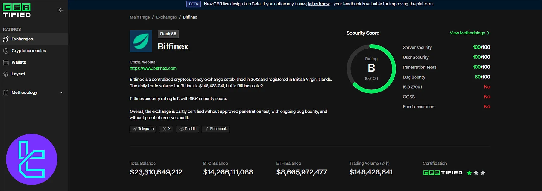 Bitfinex CER.live