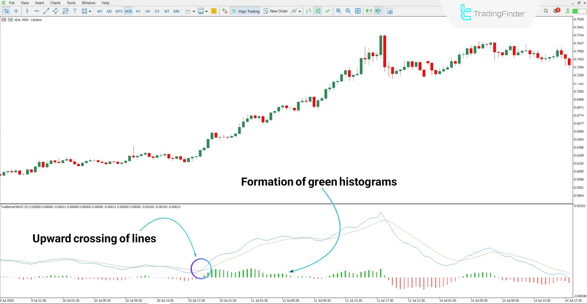 MACD 2 Color Histogram Indicator MT5 Download – Free – [TradingFinder] 1