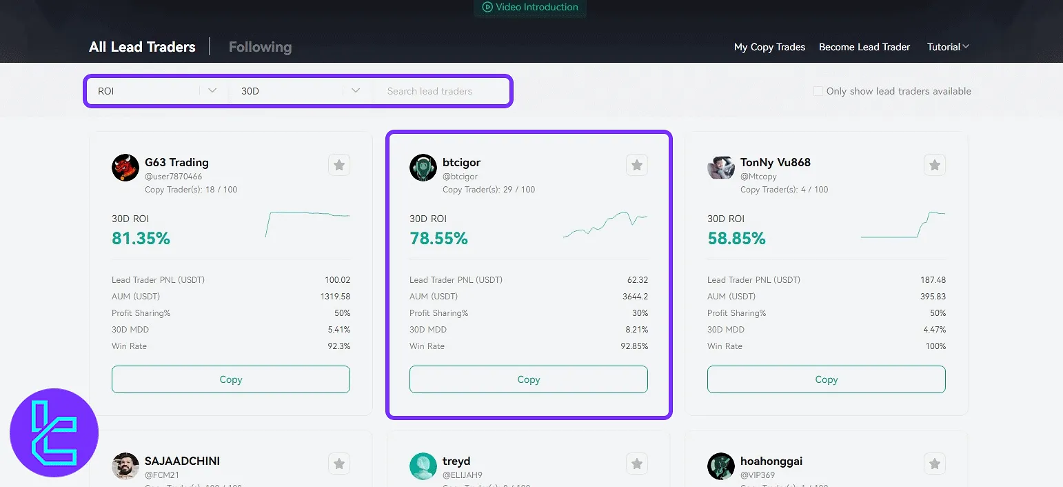 CoinEx social trading cards with ROI, AUM, MDD, win rate