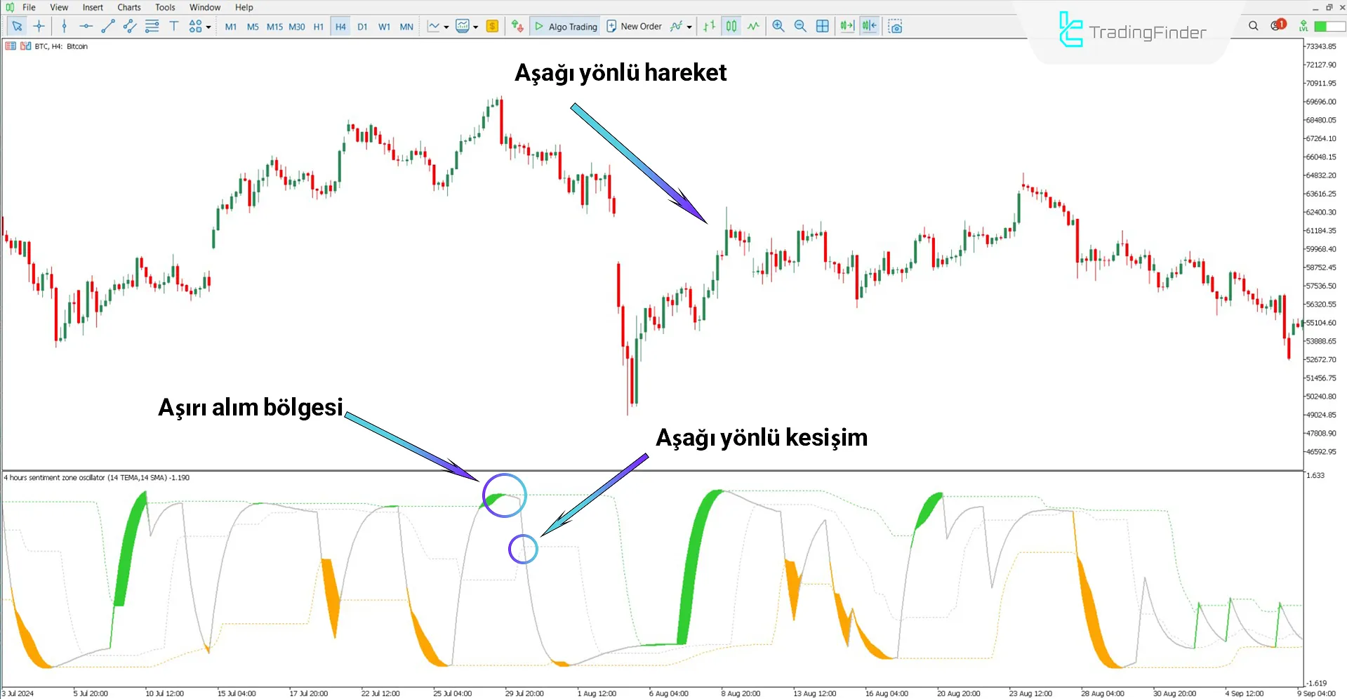 Sentiment Ratio Osilatörü MT5 için indir – Ücretsiz – [TradingFinder] 2