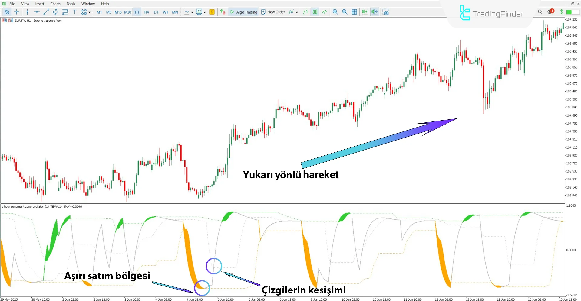 Sentiment Ratio Osilatörü MT5 için indir – Ücretsiz – [TradingFinder] 1