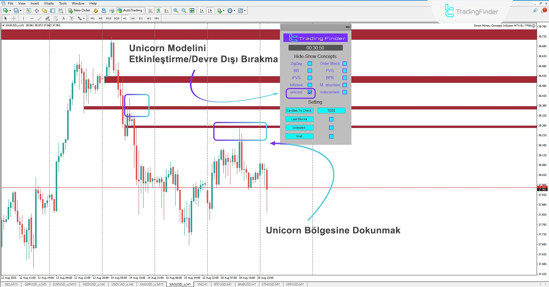 Unicorn Bölgesinin Oluşumu