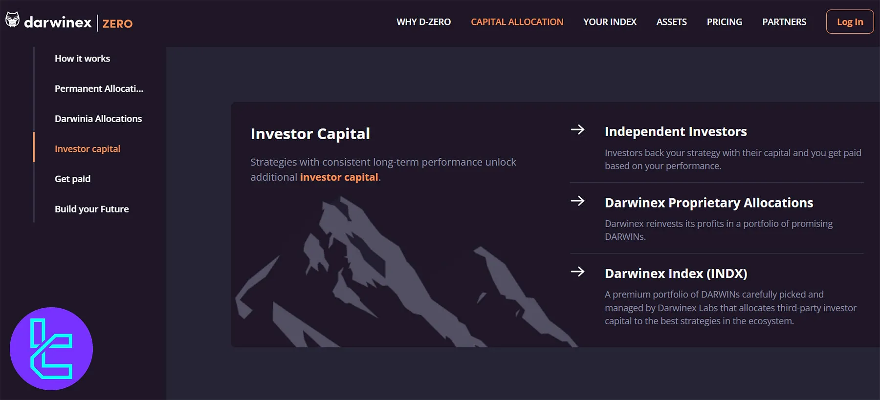 Darwinex Zero Investor Capital Allocation
