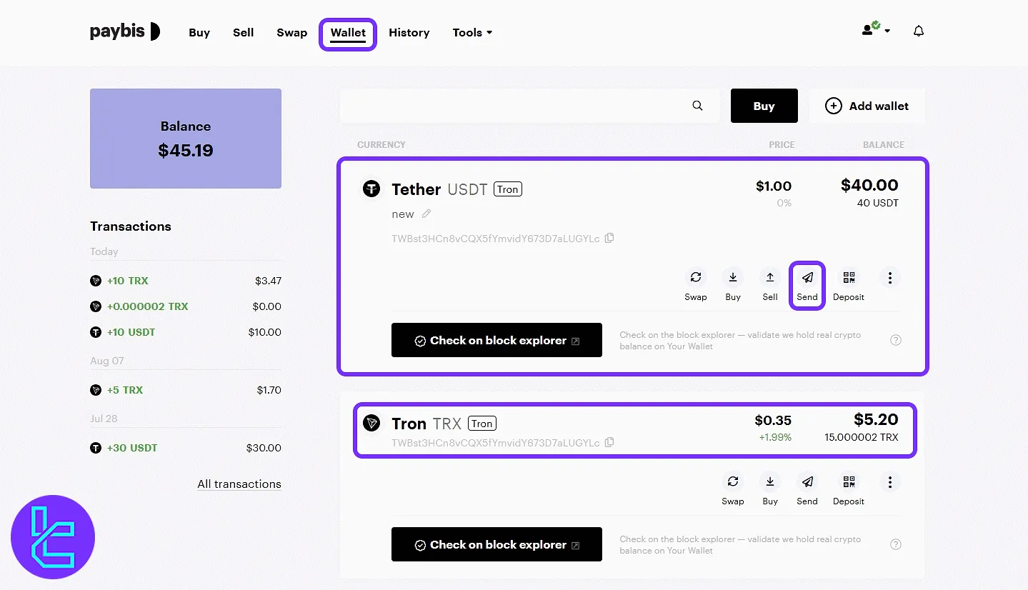Paybis Tether TRC20 wallet access screen