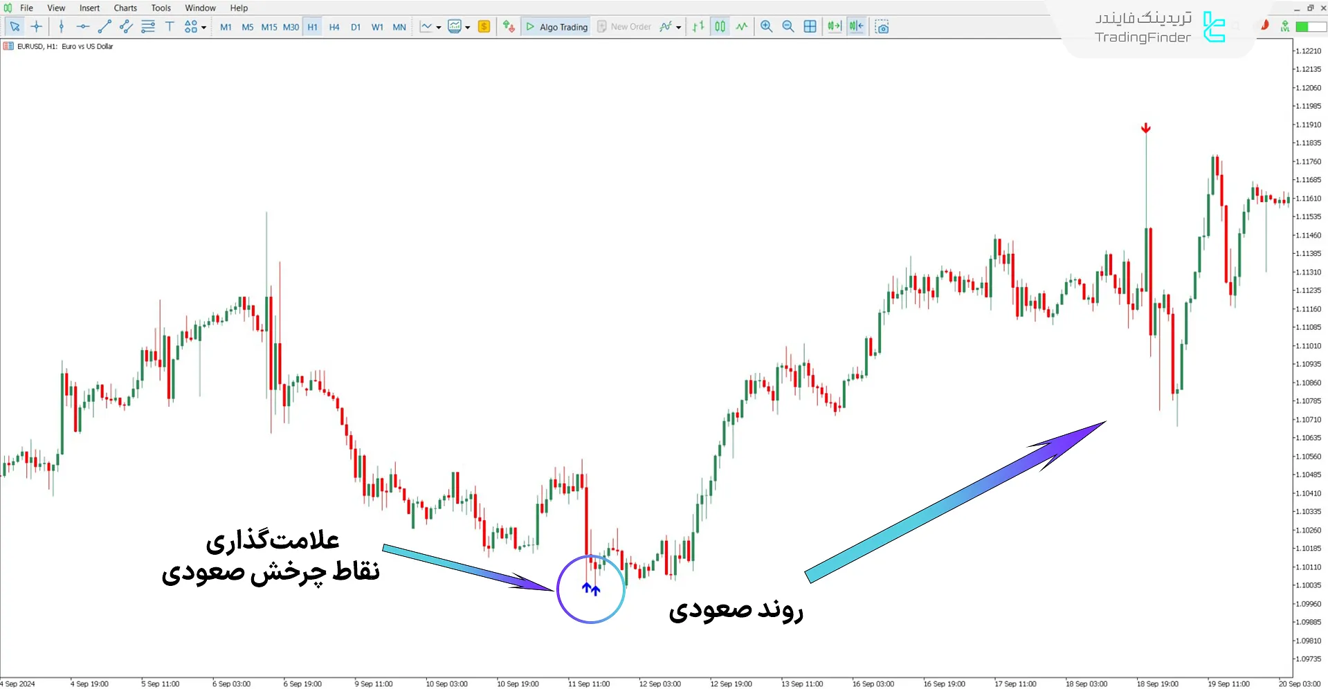 دانلود اندیکاتور Quantum و هشدار برای متاتریدر 5 - رایگان – [تریدینگ فایندر] 1
