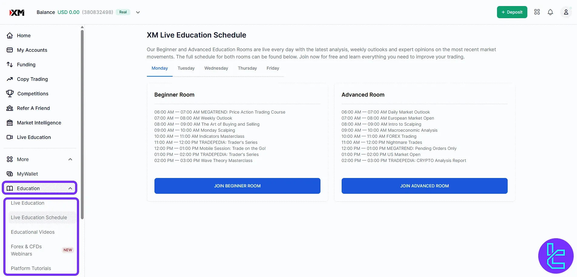 XM Group trading cabin education resources menu with categorized content