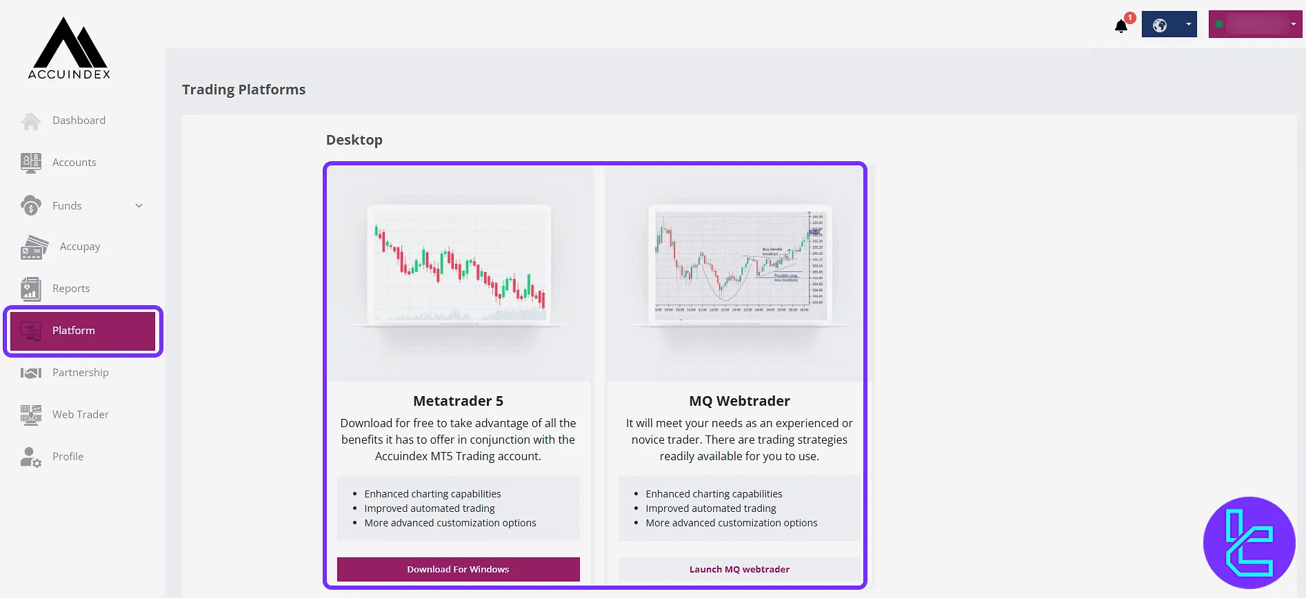 Accuindex trading cabin download links for MT5 and web tools