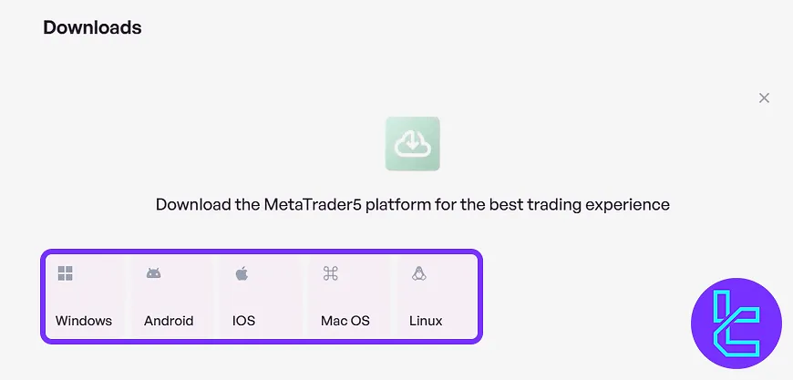 Amega MT5 installation platform selection in the user panel