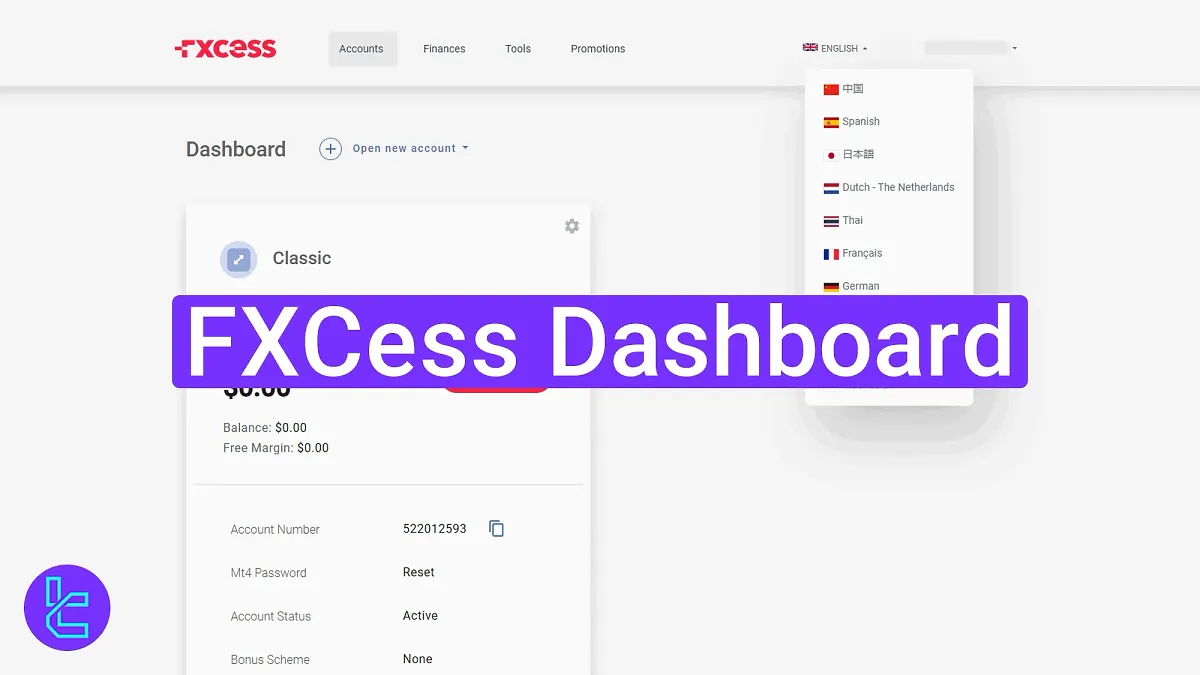 FXCess Dashboard 2025 [Full Guide to Profile, Accounts, Finance, etc.]