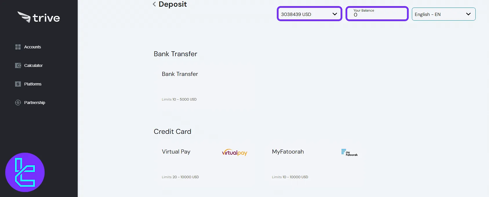 Trive deposit methods and balance selection screen in the panel