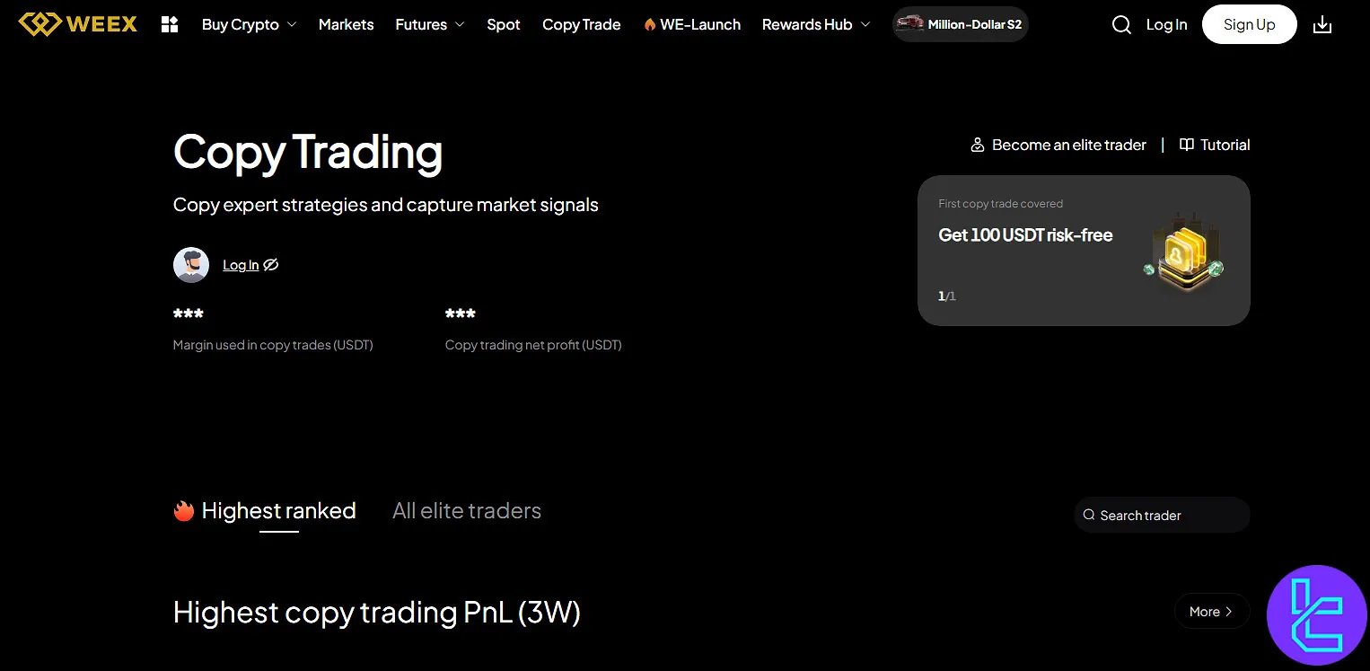 Weex copy trading