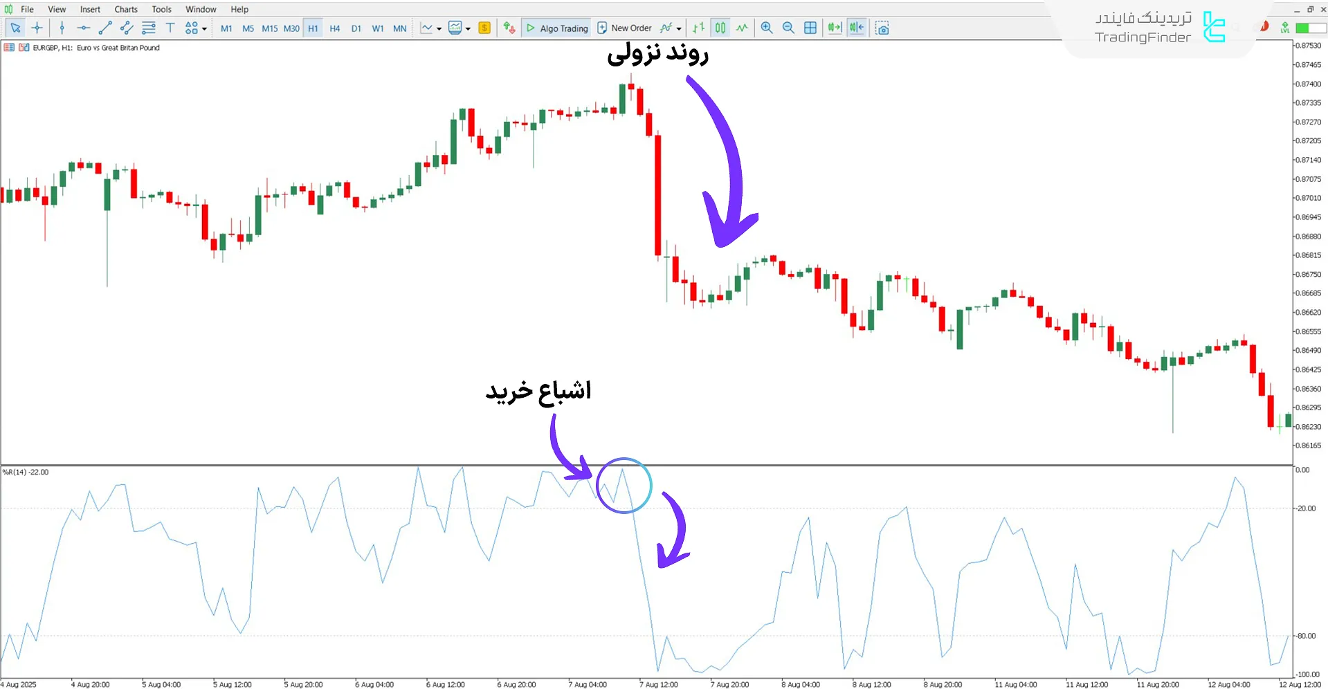 دانلود اسیلاتور WPR با هشدار (Williams Percent Range Alert) برای متاتریدر 5 2