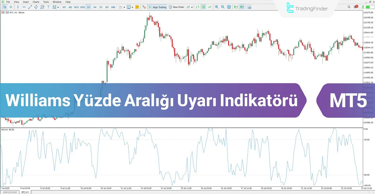 WPR Uyarılı Osilatörü MT5 için İndir – Ücretsiz – [TradingFinder]