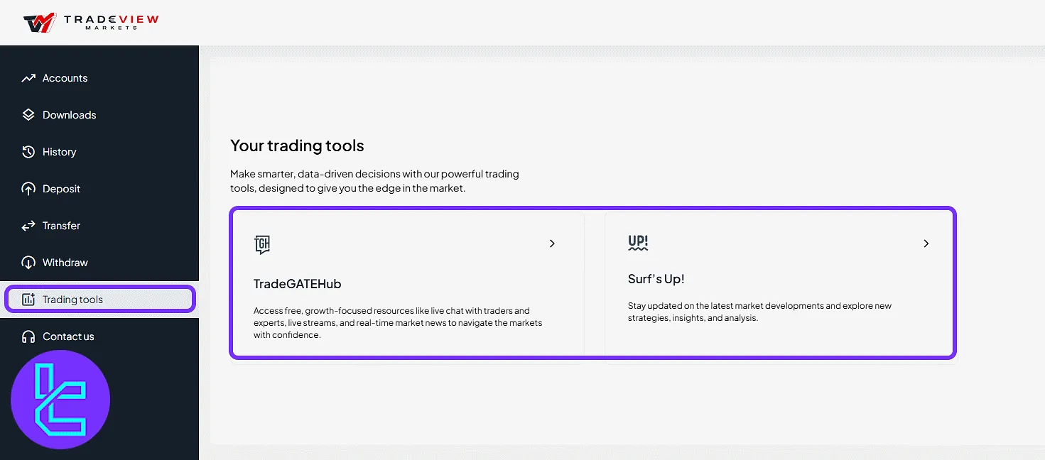 Tradeview Markets trading tools in the user panel