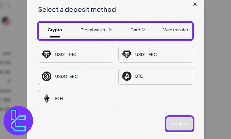 Deposit method selector and network options in the Tradeview Markets user panel