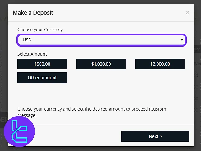 TrioMarkets deposit form with amount and currency selection in the panel