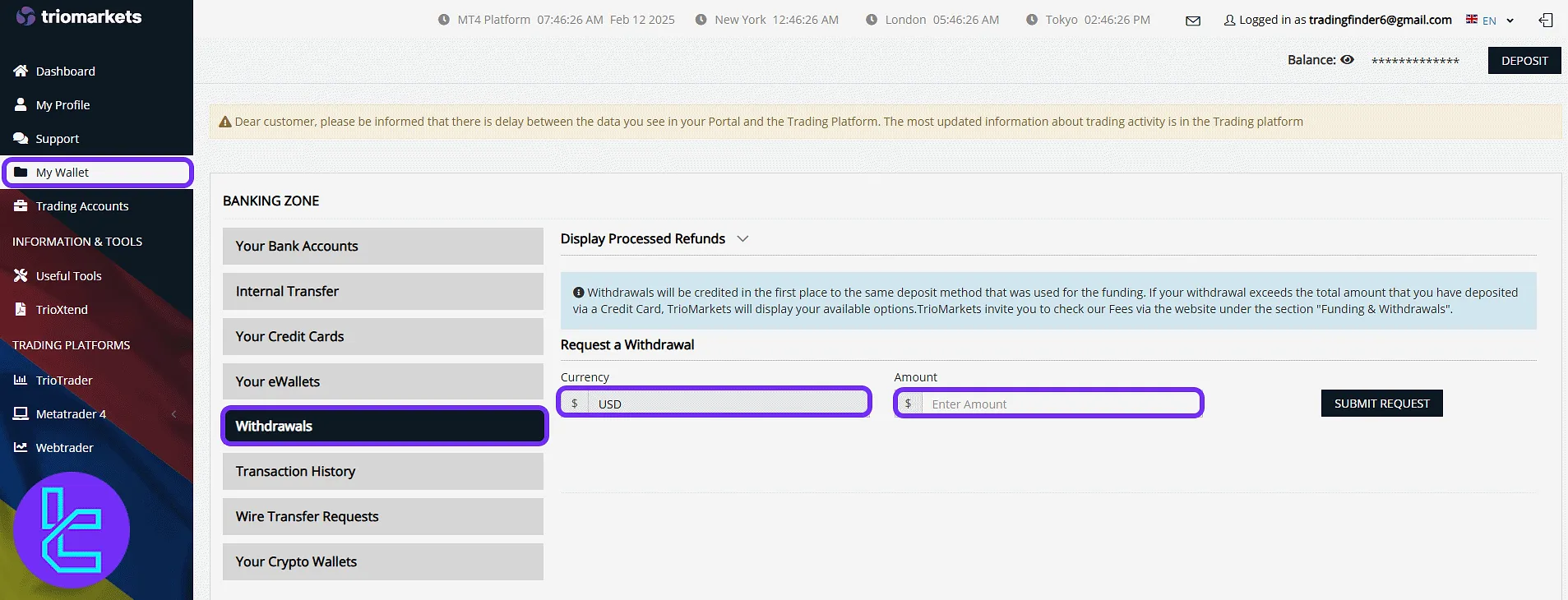 TrioMarkets withdrawal panel and form fields