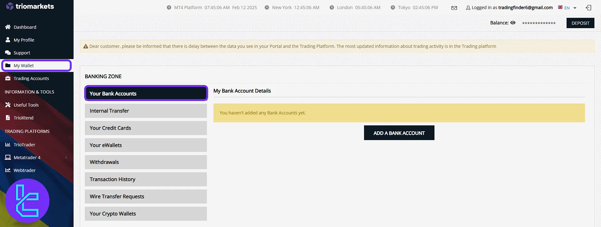 TrioMarkets wallet and bank account panel