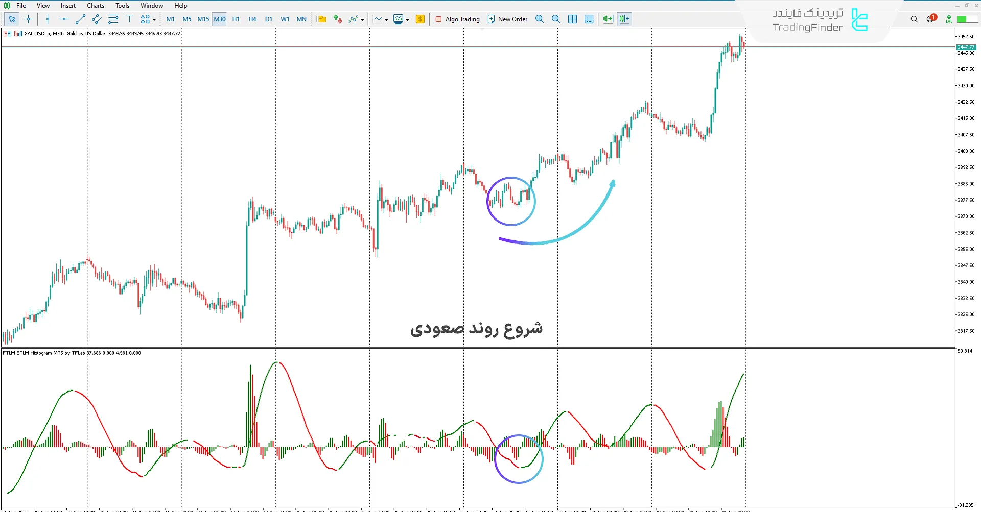 دانلود اندیکاتور FTLM STLM هیستوگرام (FTLM STLM Histogram) در متاتریدر 5 1
