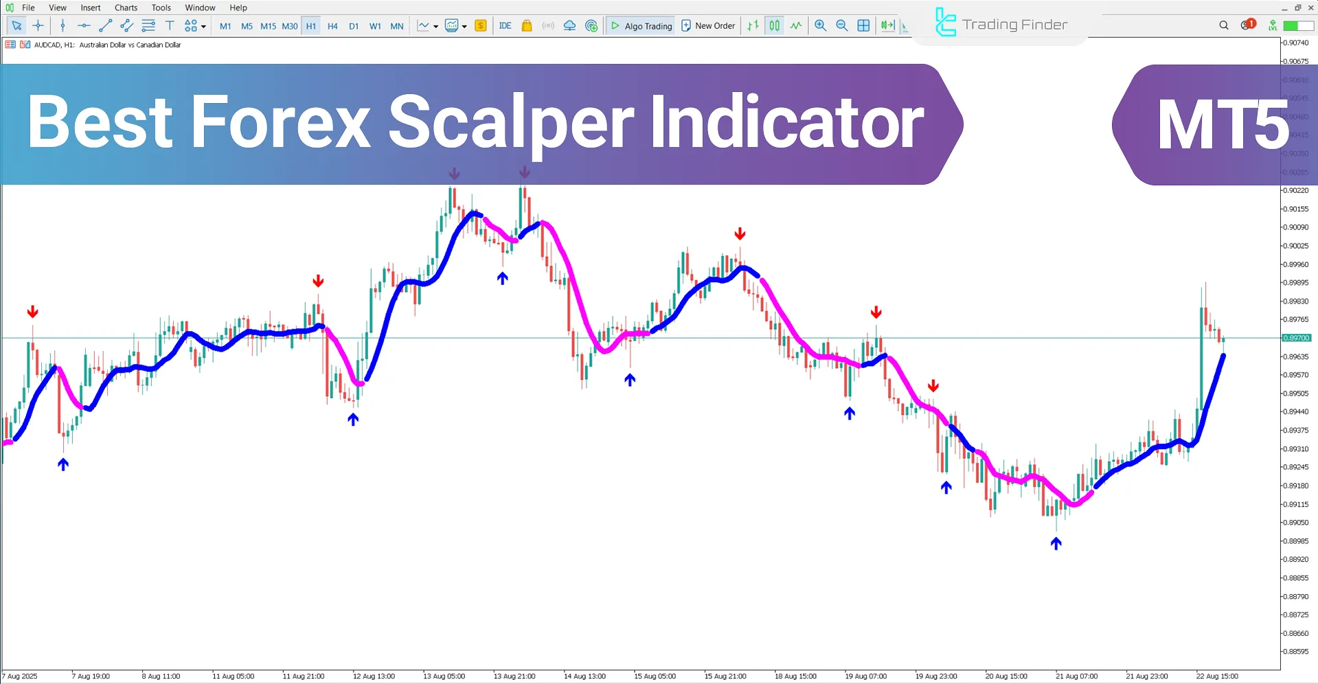 Best Forex Scalper Indicator for MetaTrader 5 – Free Download [TradingFinder]