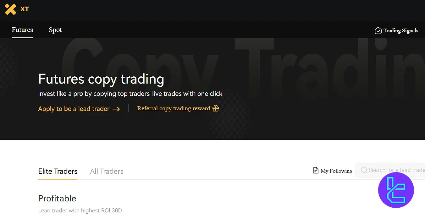 XT copy trading
