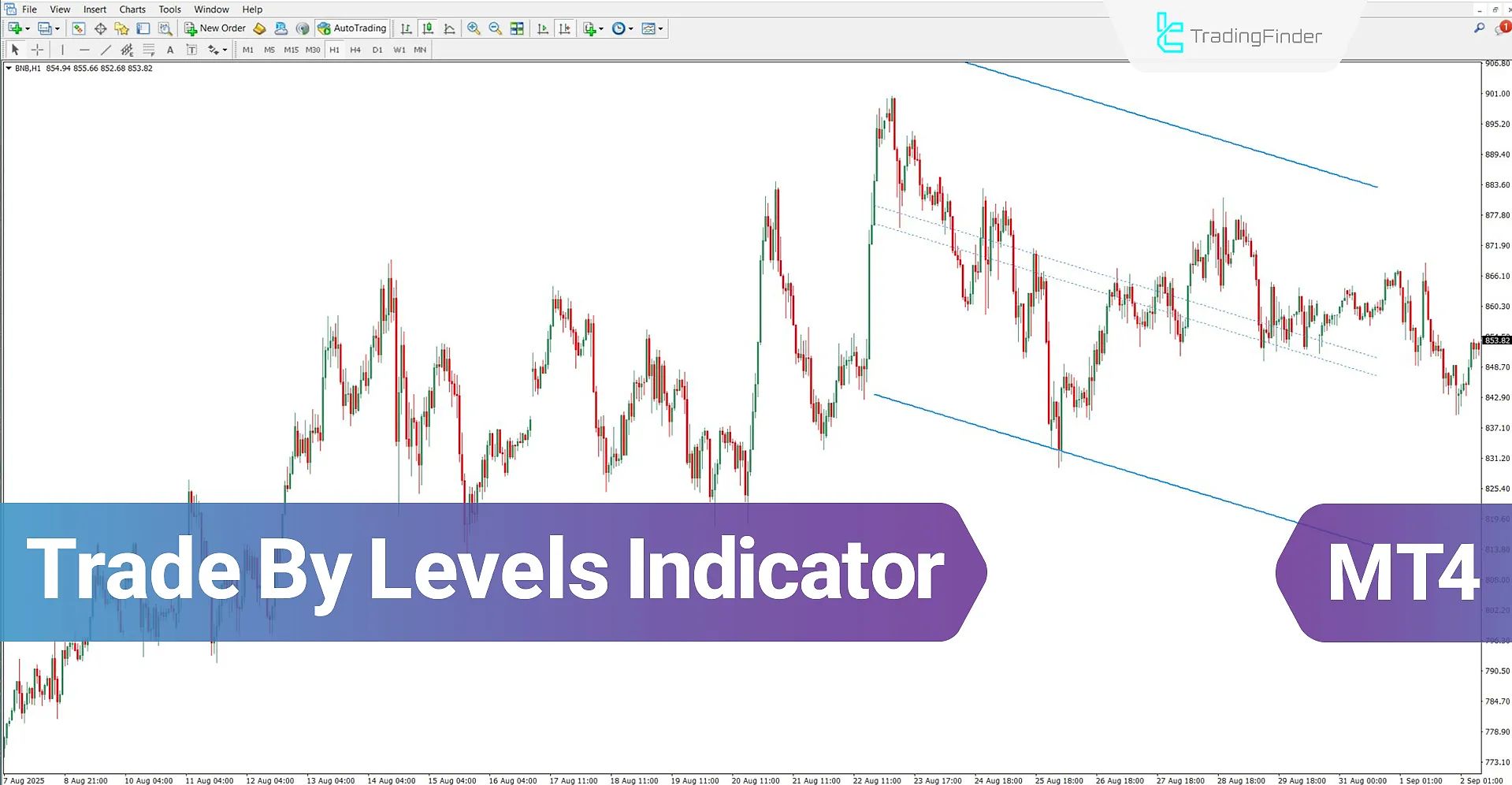 Level Margin Fx Trading Margin Level Exchange Margin In Forex Cryptocurrency  Bitcoin