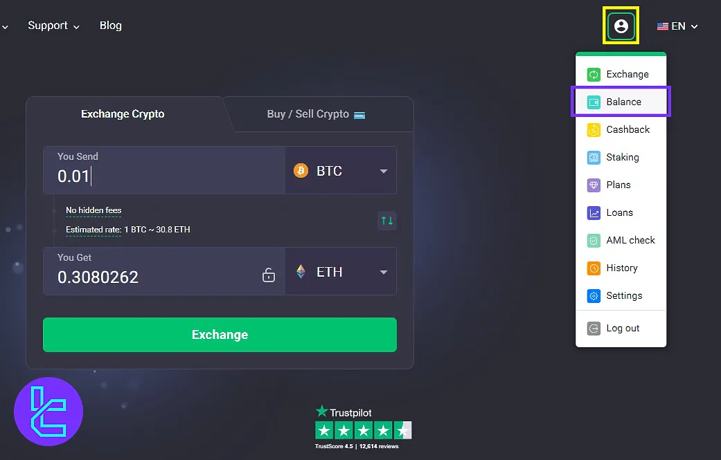 Initiating the Tether TRC20 payout on ChangeNow