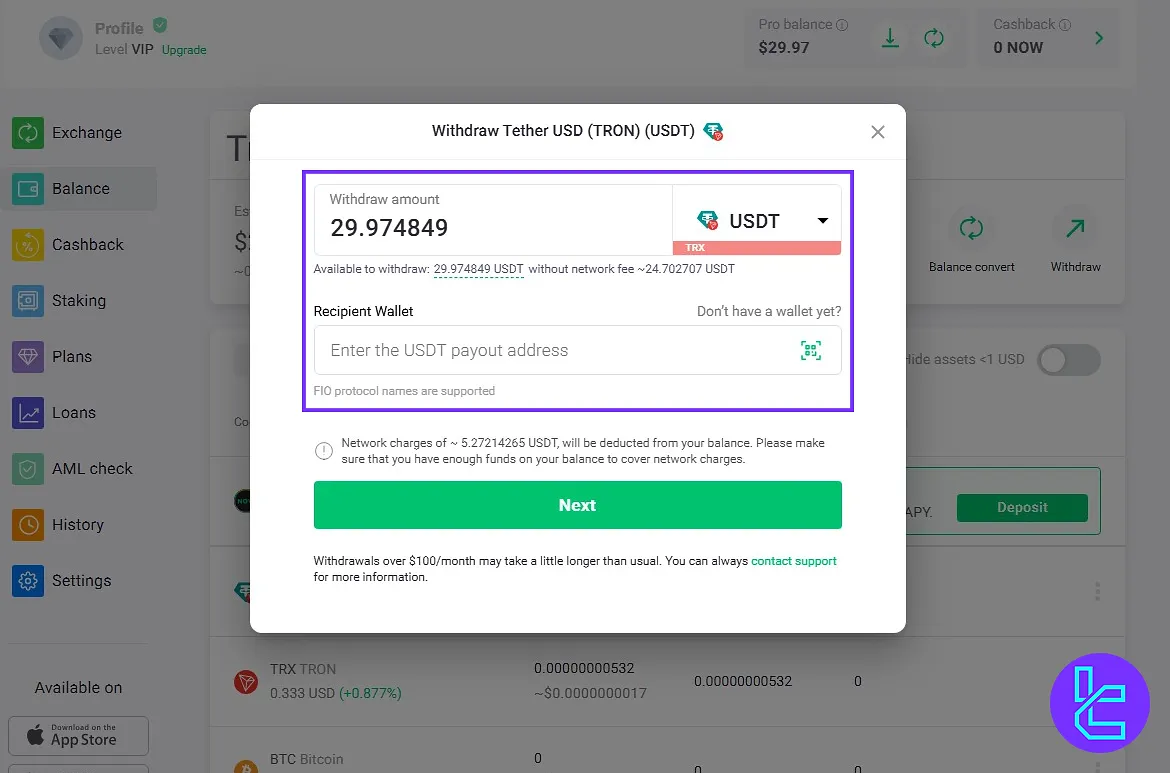 Inserting USDT TRC20 payout details on ChangeNow