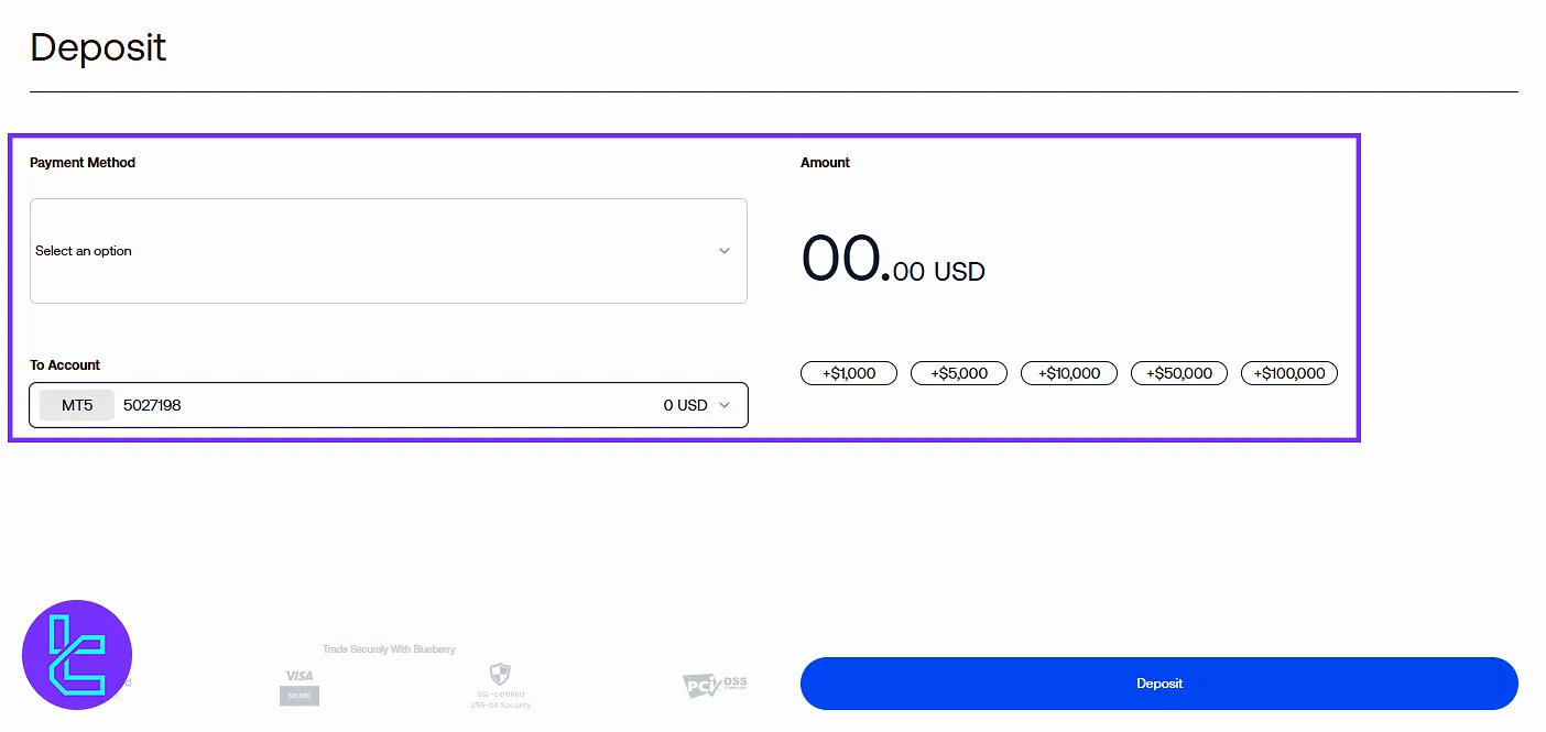Blueberry dashboard deposit funds section