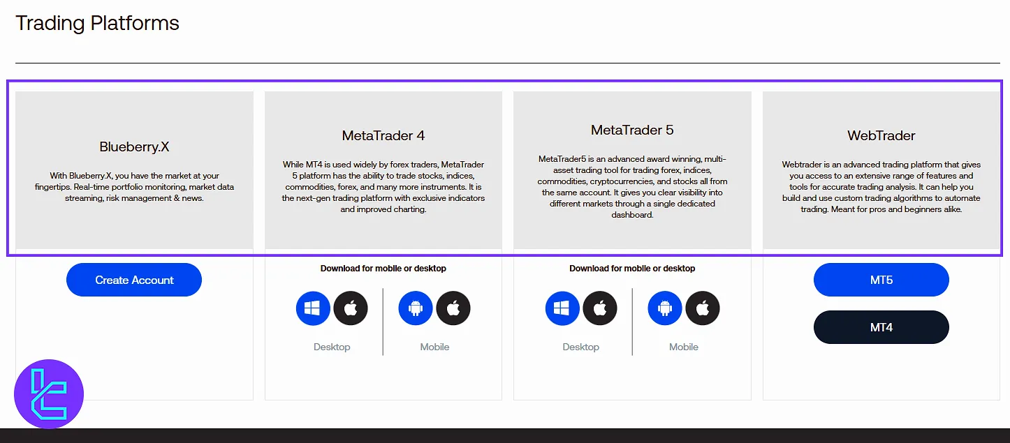 Blueberry member area, trading platform download