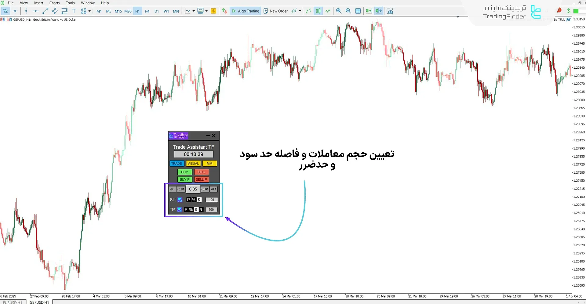 اکسپرت محافظ سرمایه