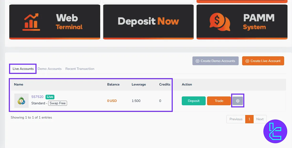 TNFX account overview and real account panel