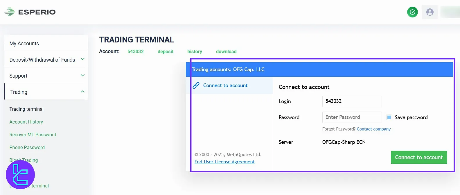Trading Terminal on Esperio client area