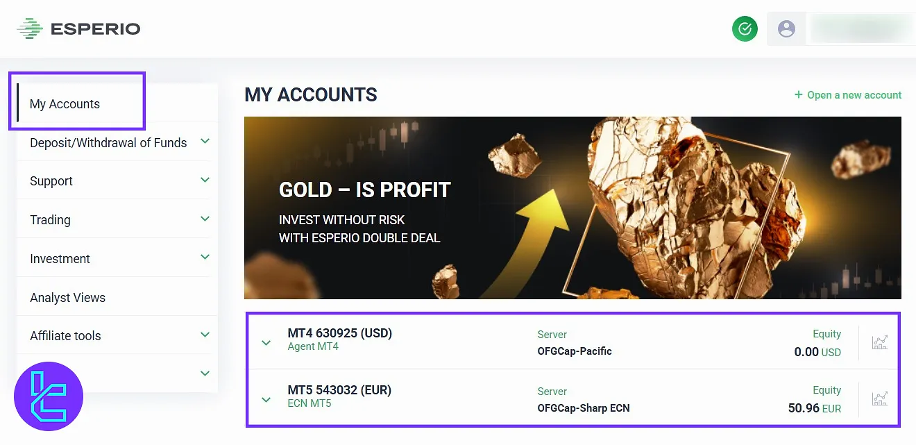 My Account Section on the Esperio user panel