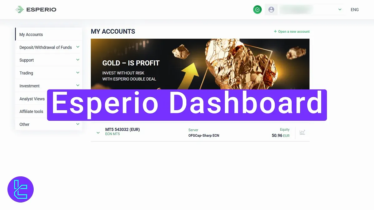 Esperio Dashboard 2025 [Manage Funds, VIP Consulting, and More] 