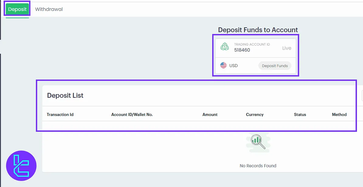 Fxview funding panel