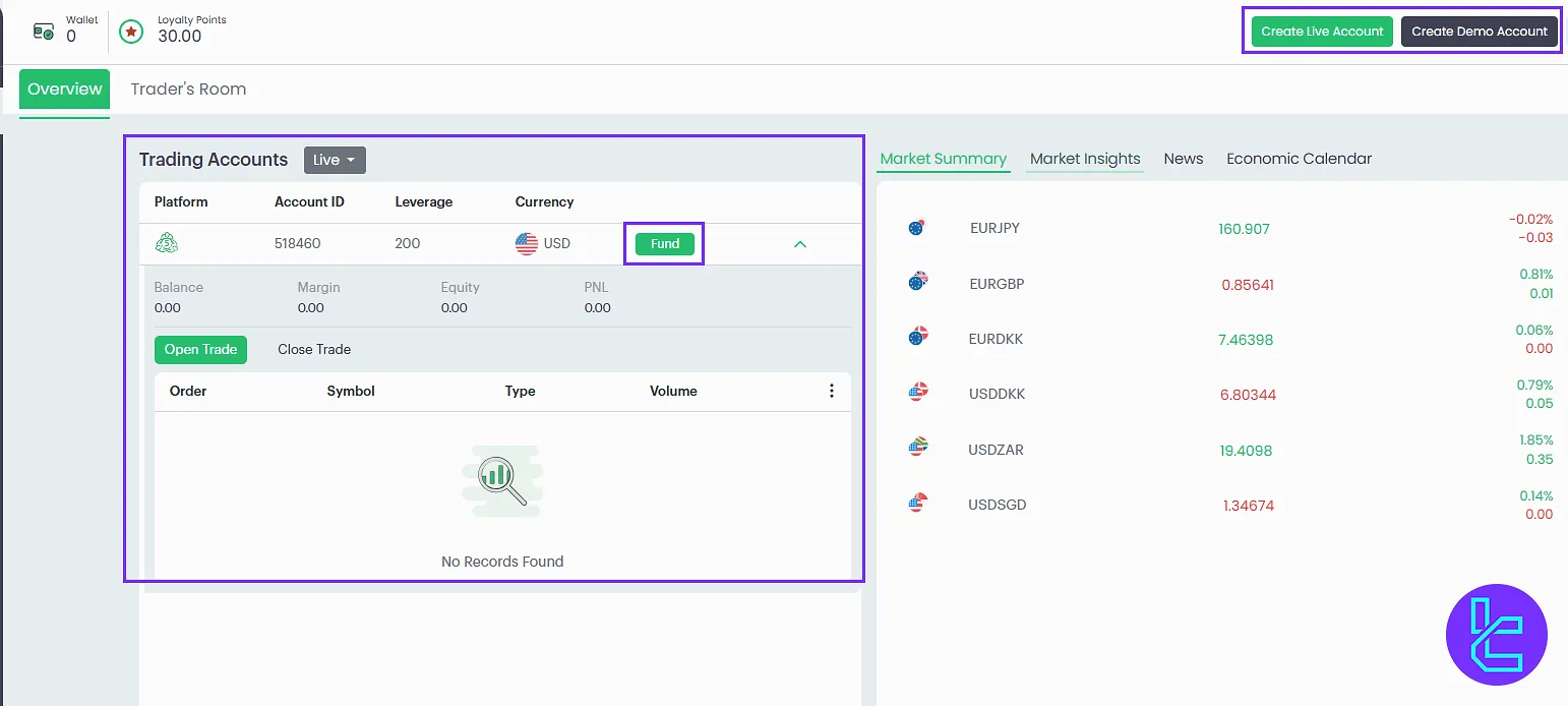 Trading account details in the Fxview panel