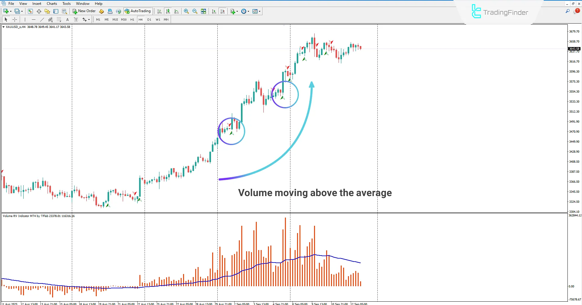 Volume RV Indicator for MetaTrader 4 Download – TradingFinder 1