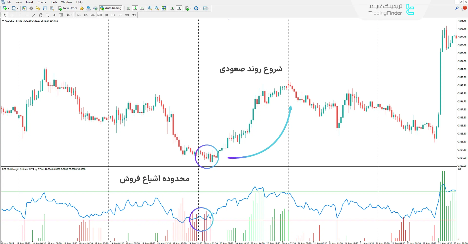 دانلود اندیکاتور RSI چند بازه (RSI Multi Length) در متاتریدر 4 – [تریدینگ فایندر] 1