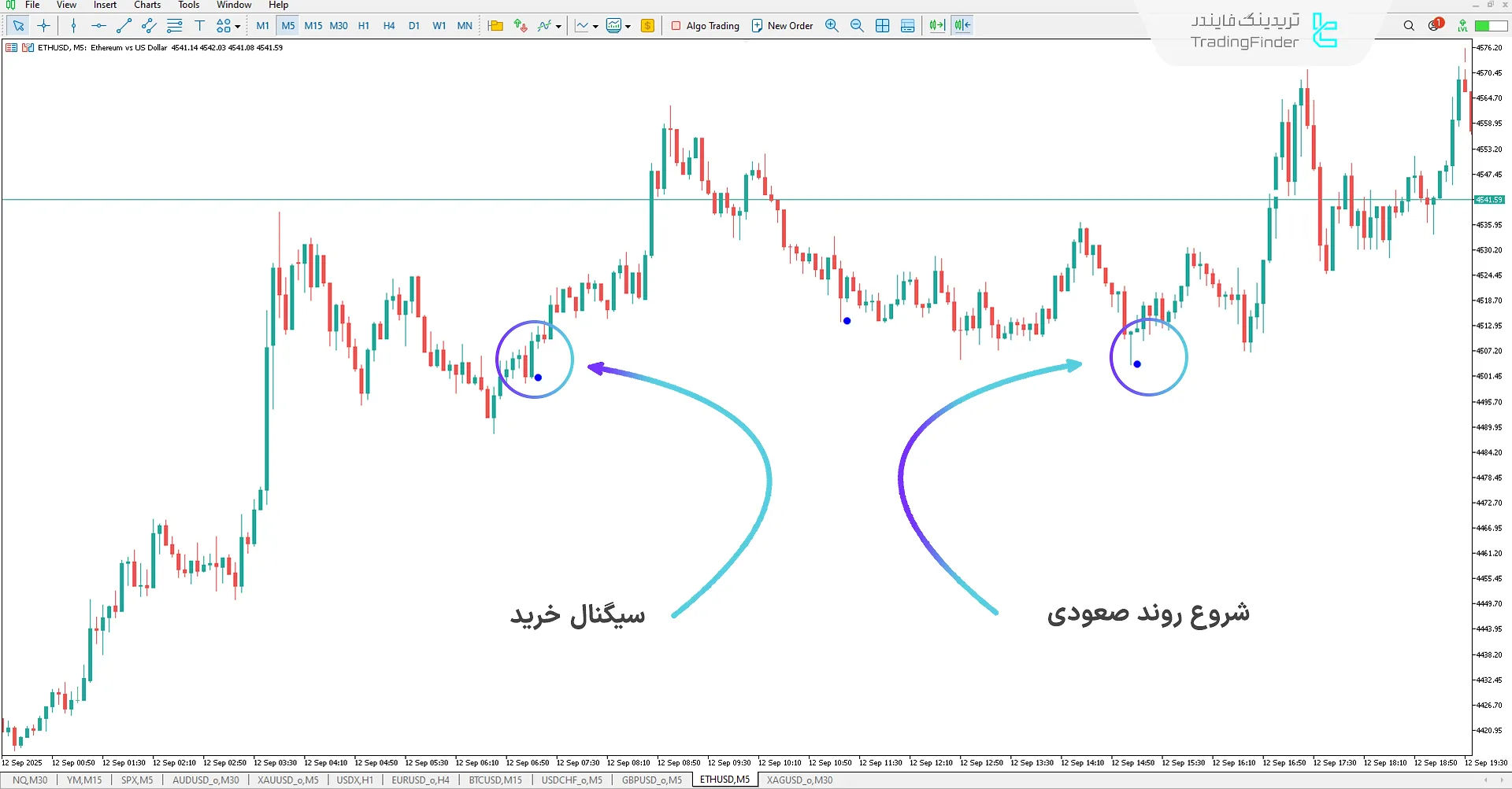 دانلود اندیکاتور سیگنال لمن (Leman Signal) در متاتریدر 5 – تریدینگ فایندر 1