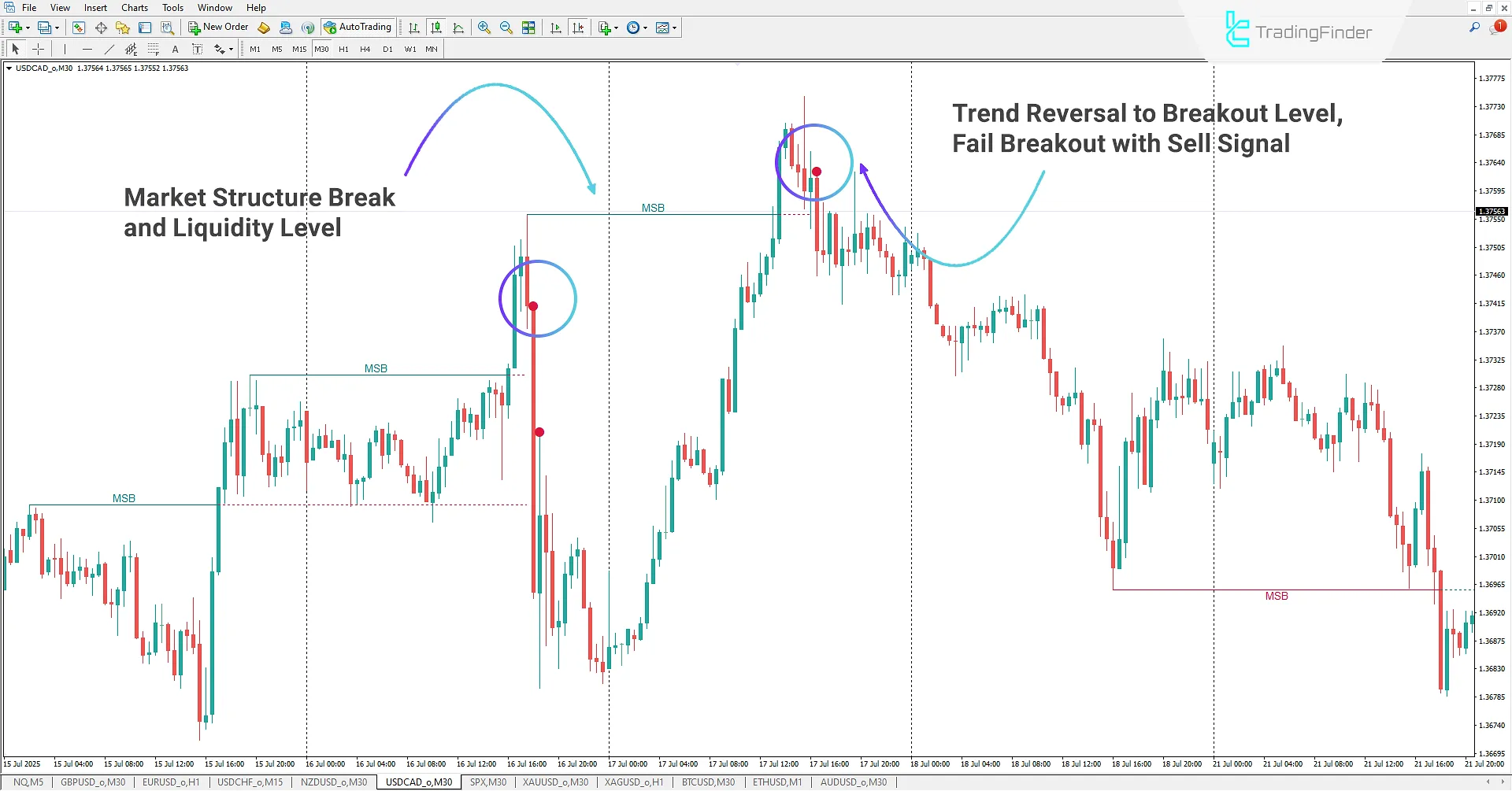 Buyside and Sellside Liquidity Indicator for MT4 Download – [TradingFinder] 2