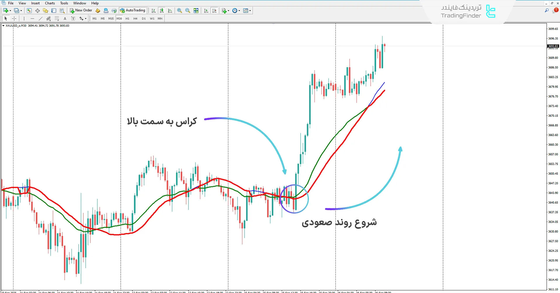 دانلود اندیکاتور فیلتر خوشهای (Cluster Filter) در متاتریدر 4 – تریدینگ فایندر 1
